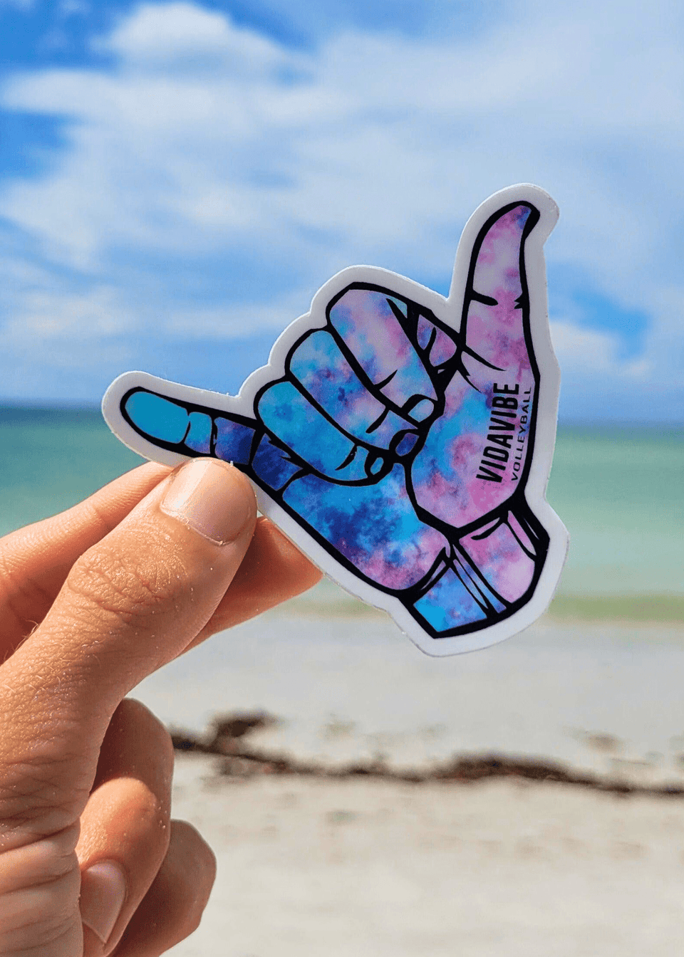 Hang Ten VidaVibe Volleyball Sticker